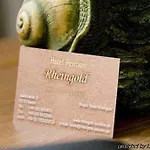 Hotel Hotel-pension Rheingold Am Kurfuerstendamm